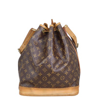 Louis Vuitton Noe Monogram back