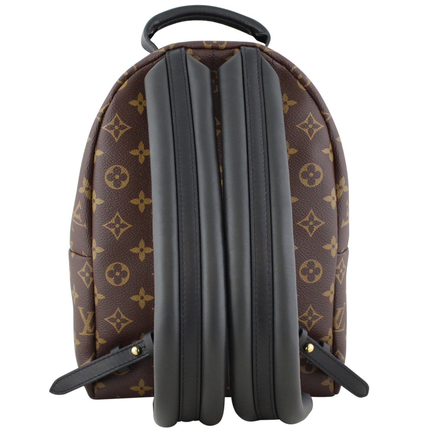 Louis Vuitton Palm Springs Backpack PM Monogram Back
