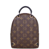 Louis Vuitton Palm Springs Mini Backpack Monogram Back