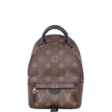 Louis Vuitton Palm Springs Mini Backpack Monogram Front