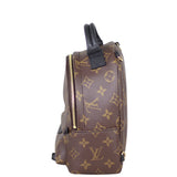 Louis Vuitton Palm Springs Mini Backpack Monogram Side