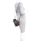 Louis Vuitton Palm Springs Mini Backpack Monogram Mannequin