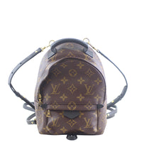 Louis Vuitton Palm Springs Mini Backpack Front