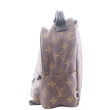 Louis Vuitton Palm Springs Mini Backpack Left