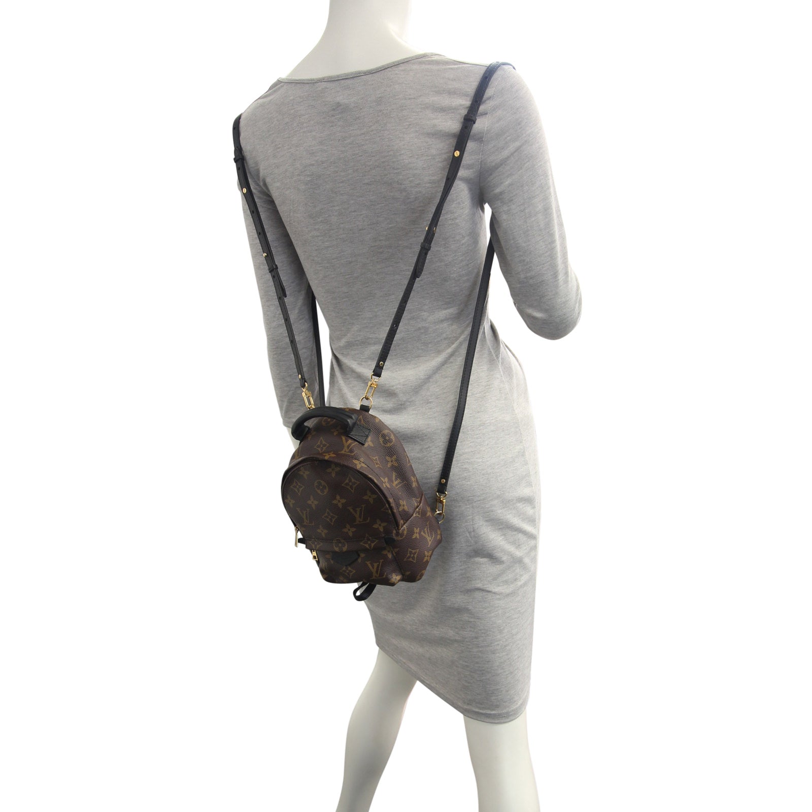 Louis Vuitton Palm Springs Mini Backpack Mannequin