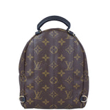 Louis Vuitton Palm Springs Mini Backpack Back