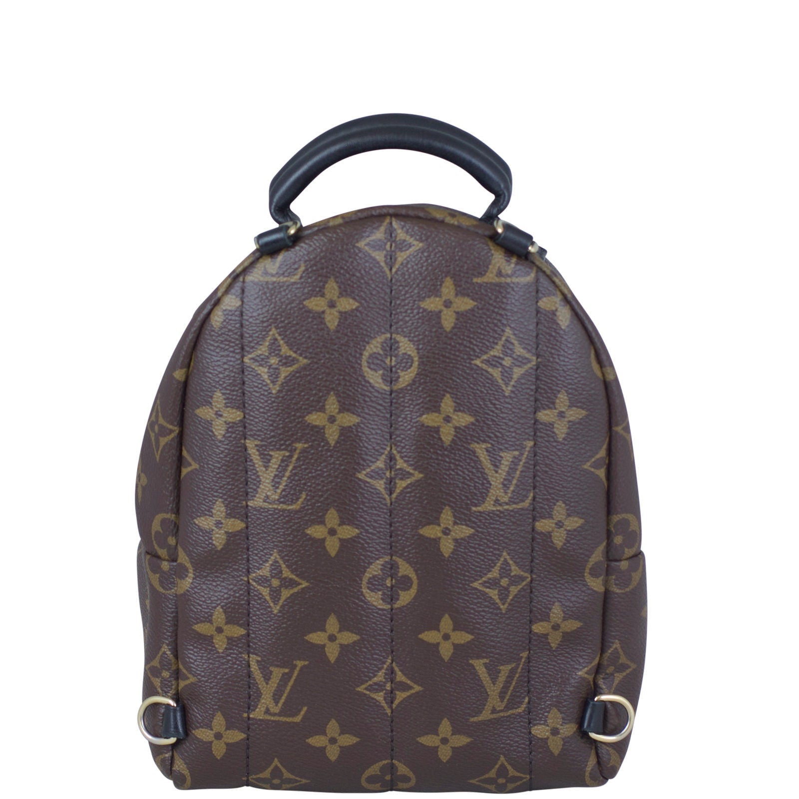 Louis Vuitton Palm Springs Mini Backpack Back
