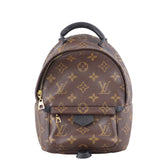 Louis Vuitton Palm Springs Mini Backpack Front