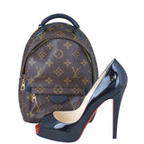 Louis Vuitton Palm Springs Mini Backpack Shoe