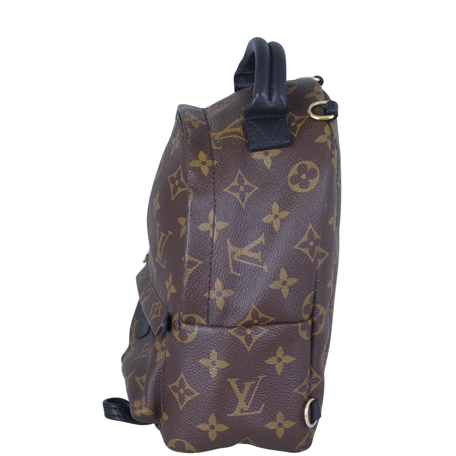 Louis Vuitton Palm Springs Mini Backpack Side