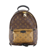 Louis Vuitton Palm Springs Backpack PM Monogram Front