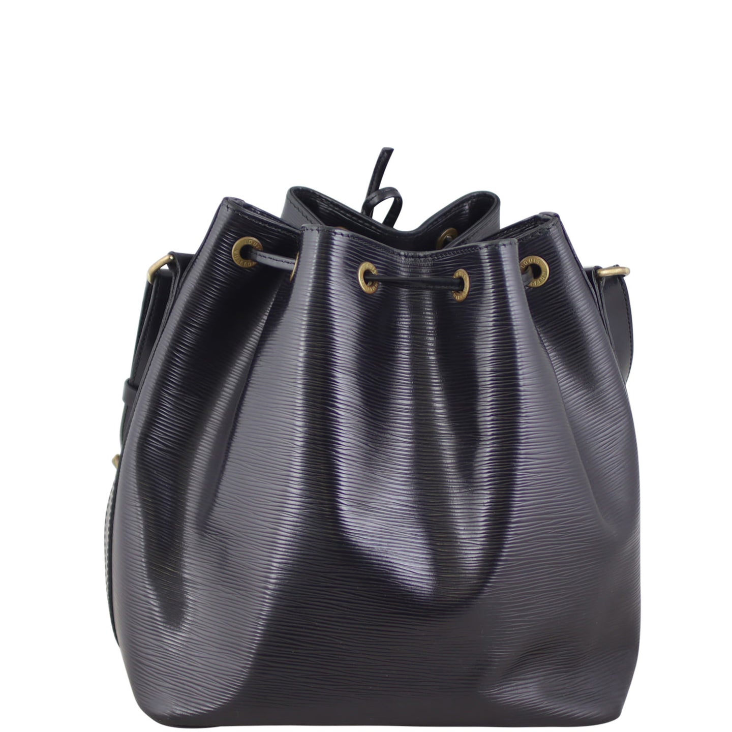 Louis Vuitton Petit Noe Epi Back