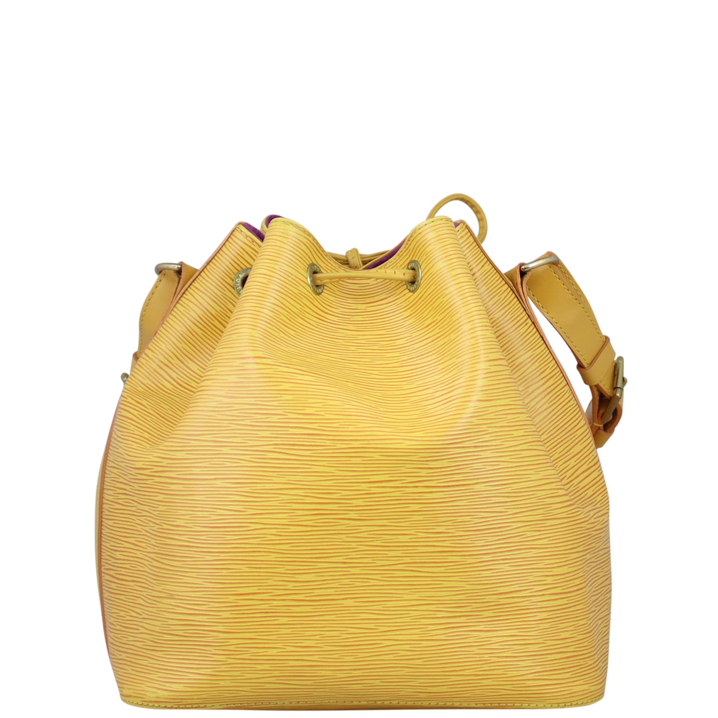 Louis Vuitton Petit Noe Epi Back