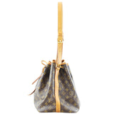 Louis Vuitton Petit Noe Monogram Left