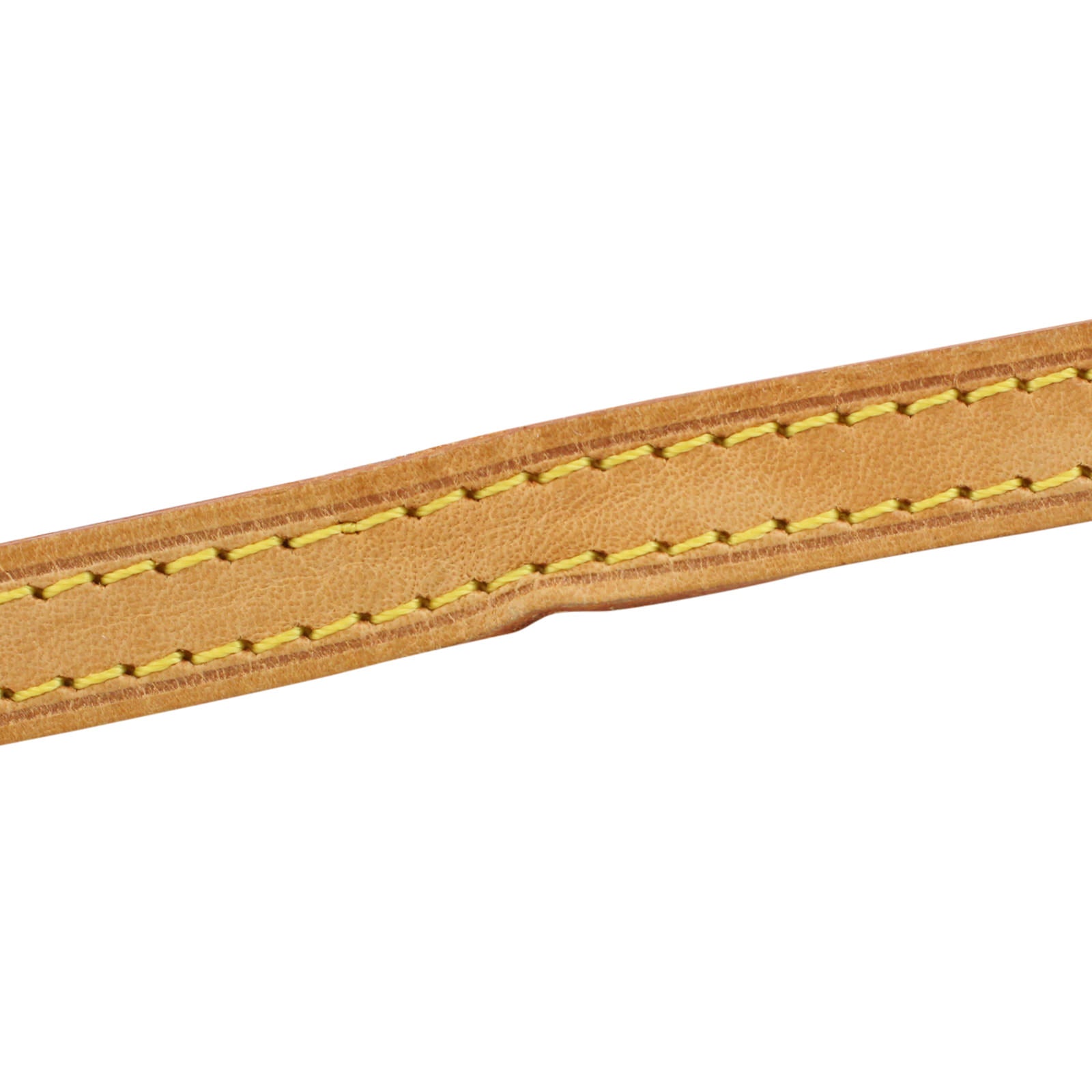 Louis Vuitton Pochette Twin PM Monogram Strap