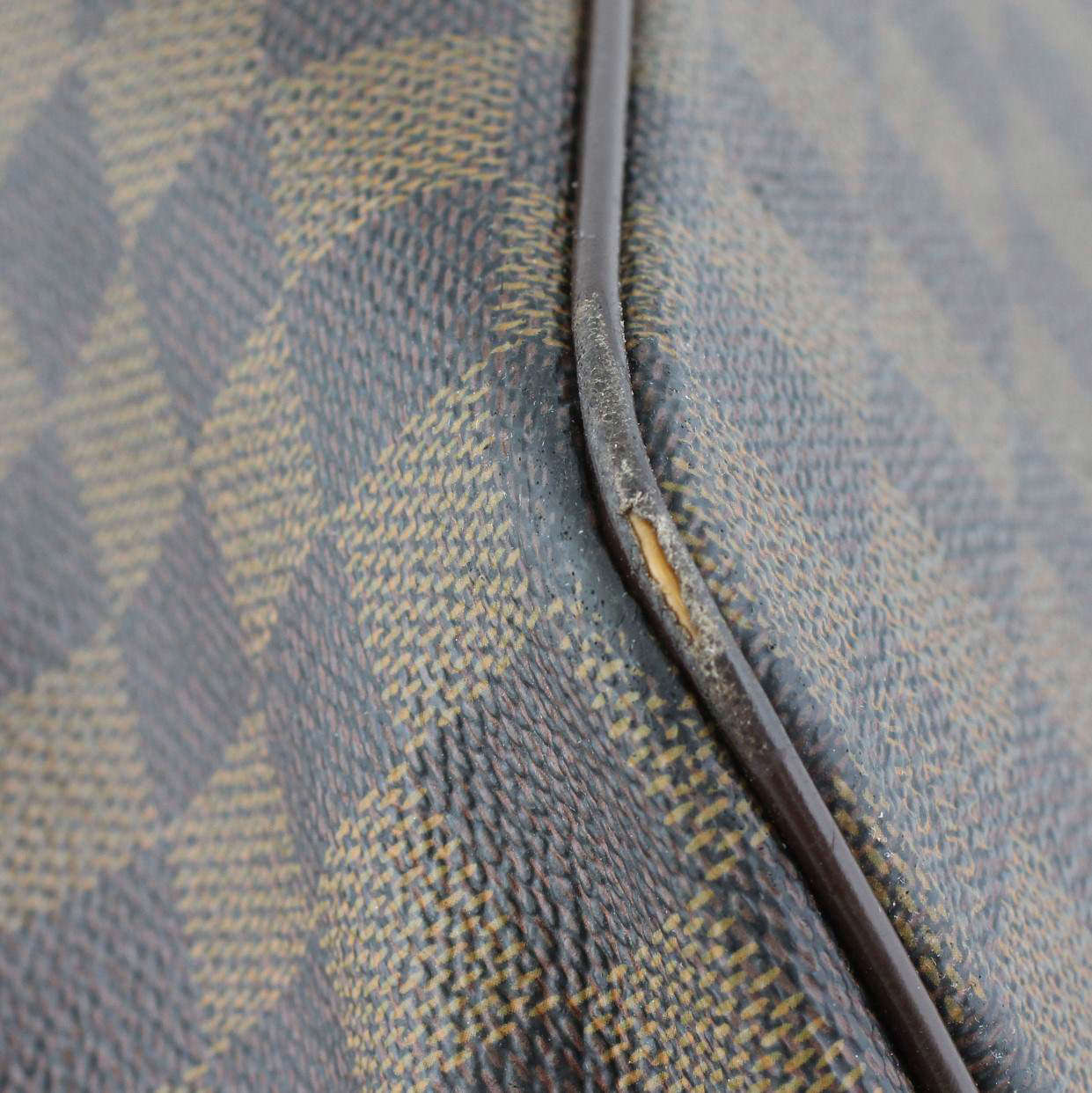 Louis Vuitton Saleya GM Damier Ebene Lining