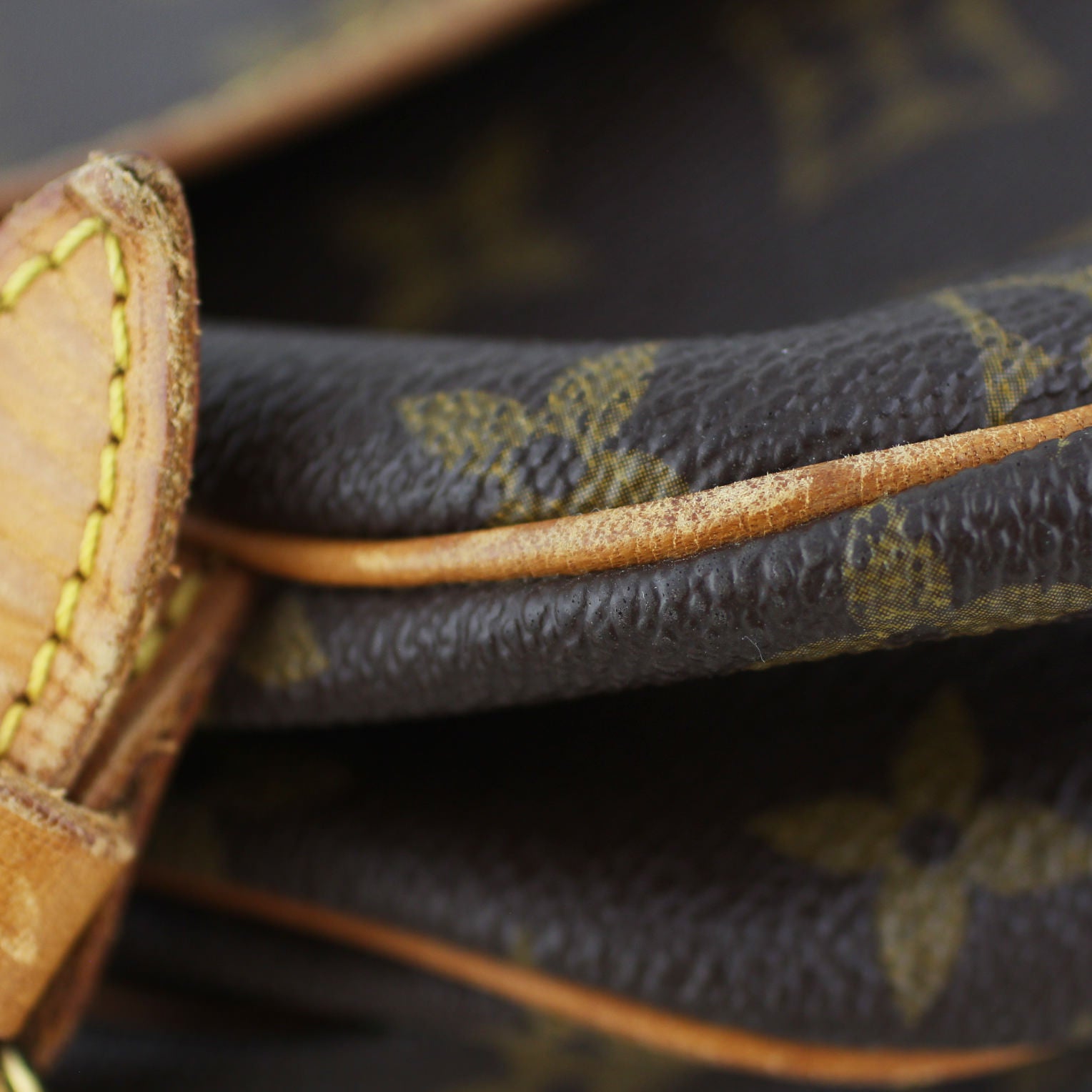 Louis Vuitton Saumur 30 Monogram Lining