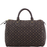Louis Vuitton Speedy 30 Fusain Monogram Idylle Back