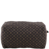 Louis Vuitton Speedy 30 Fusain Monogram Idylle Base