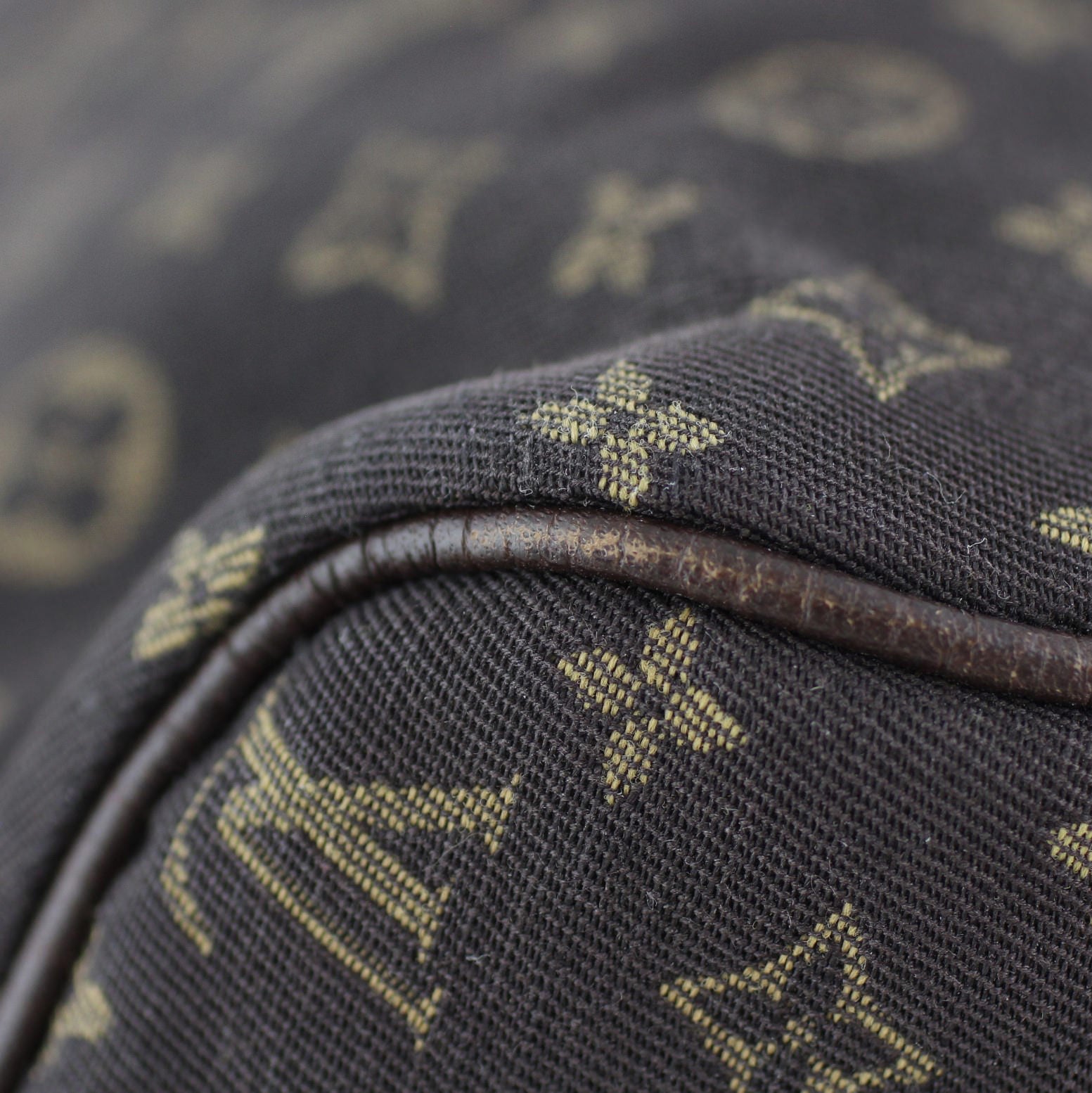 Louis Vuitton Speedy 30 Fusain Monogram Idylle Lining