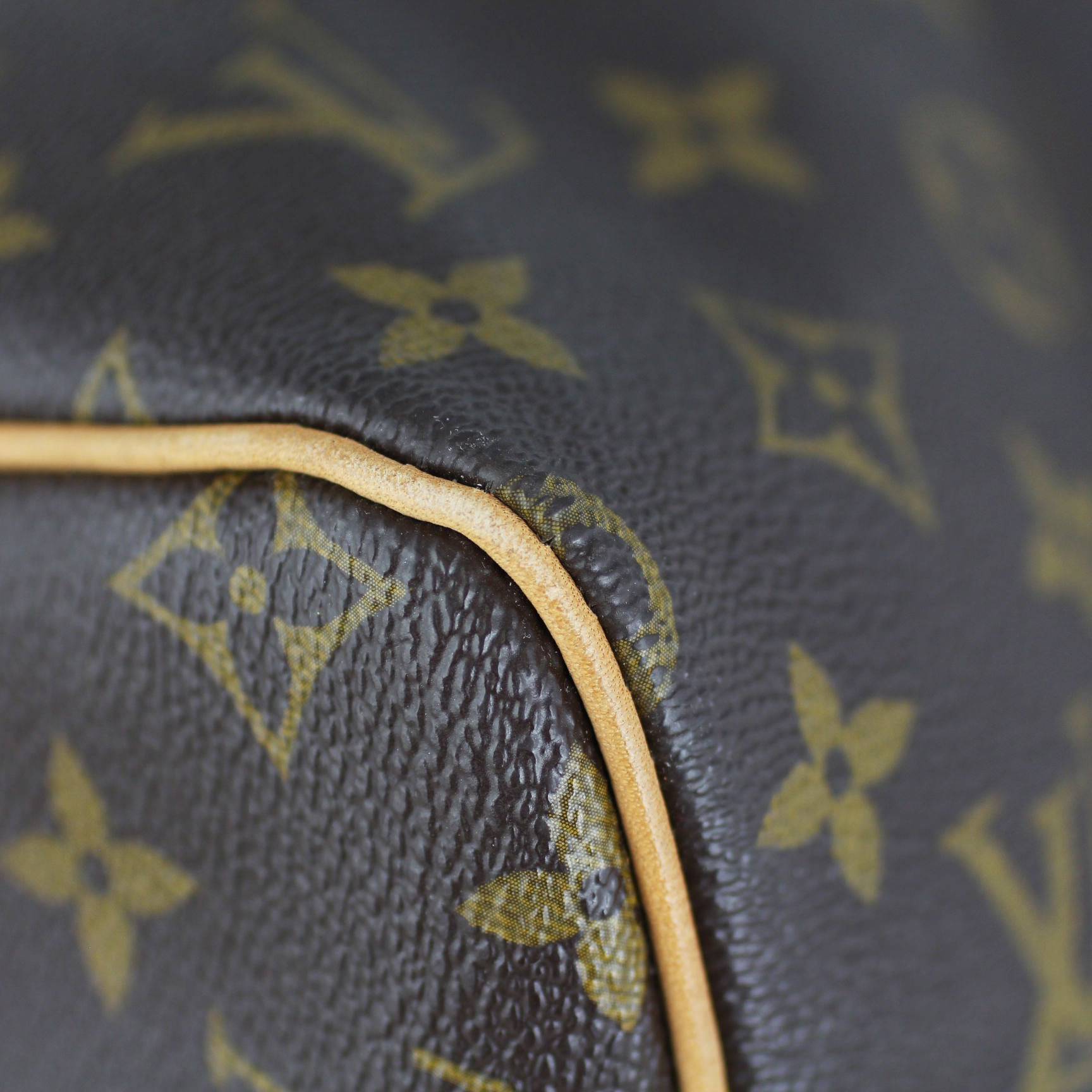 Louis Vuitton Speedy 30 Lining