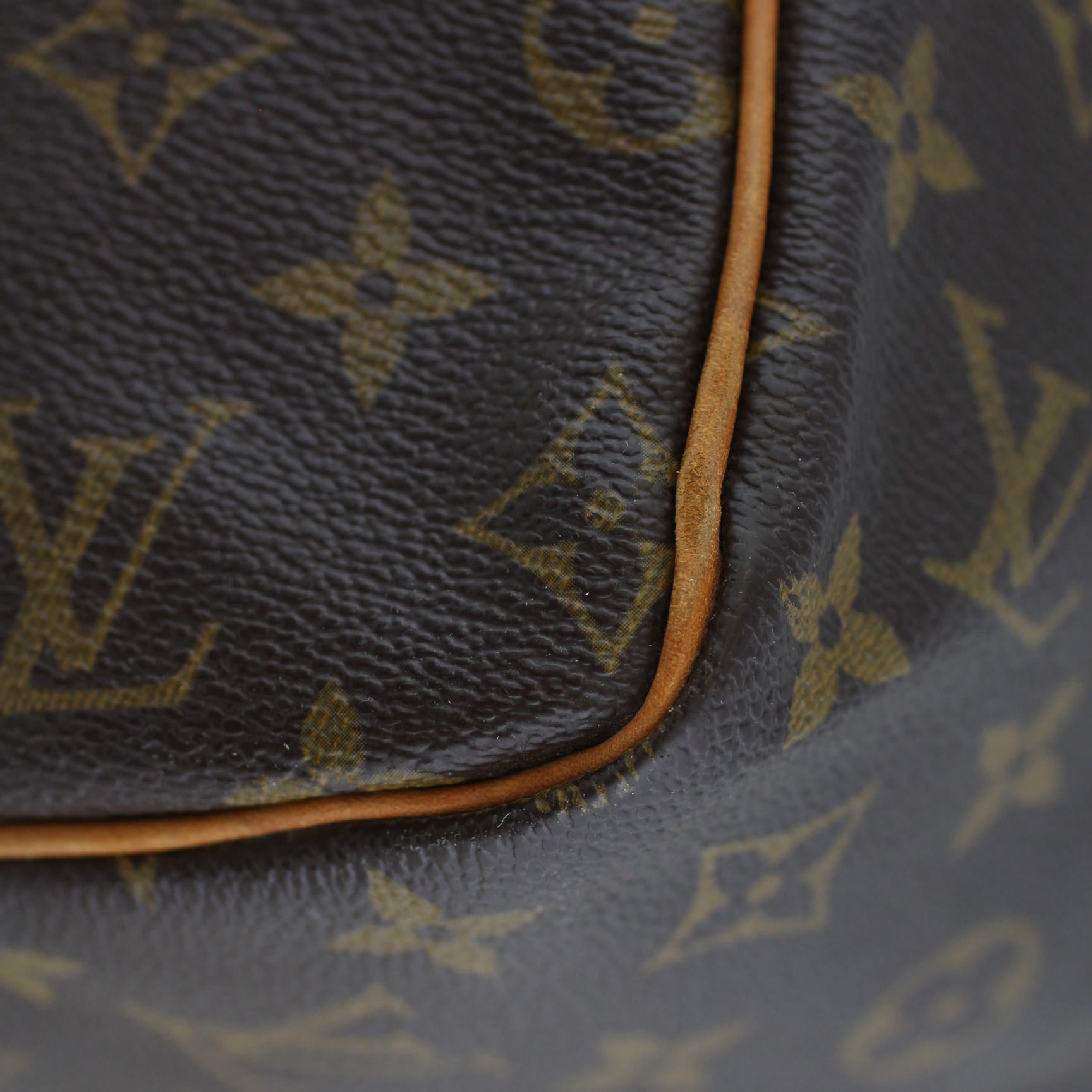 Louis Vuitton Speedy 30 Monogram Lining