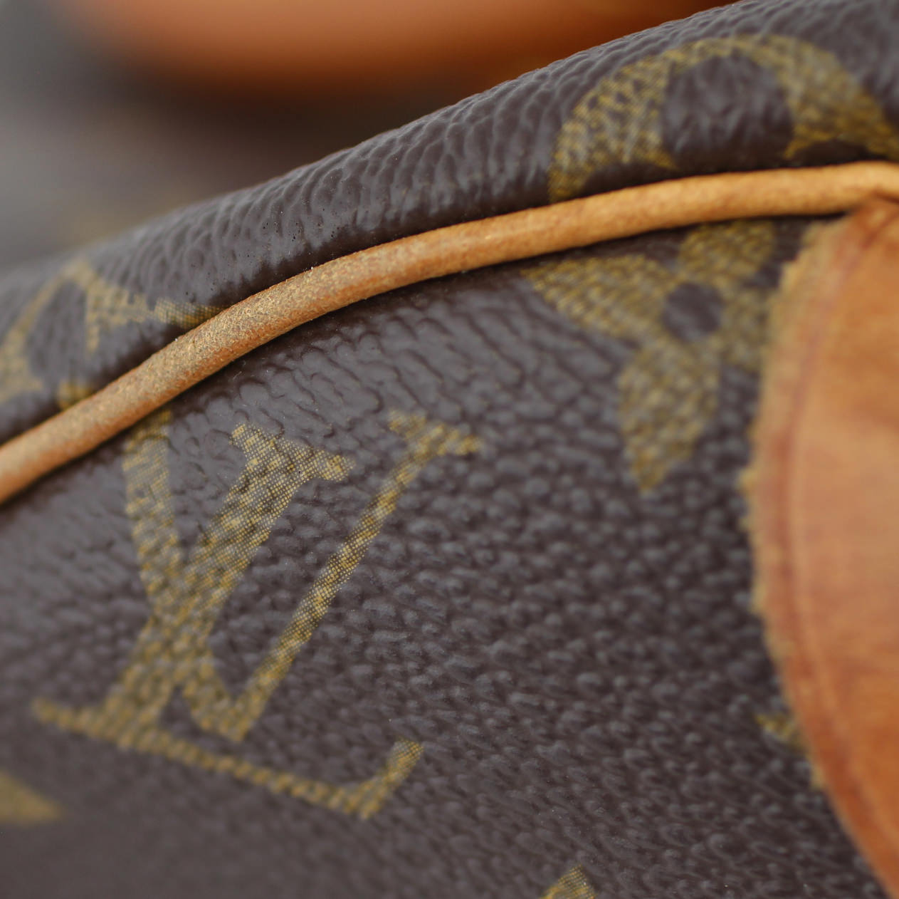 Louis Vuitton Speedy 30 Monogram Lining