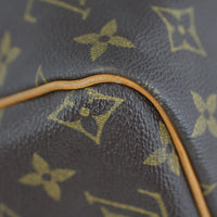 Louis Vuitton Speedy 30 Monogram Lining