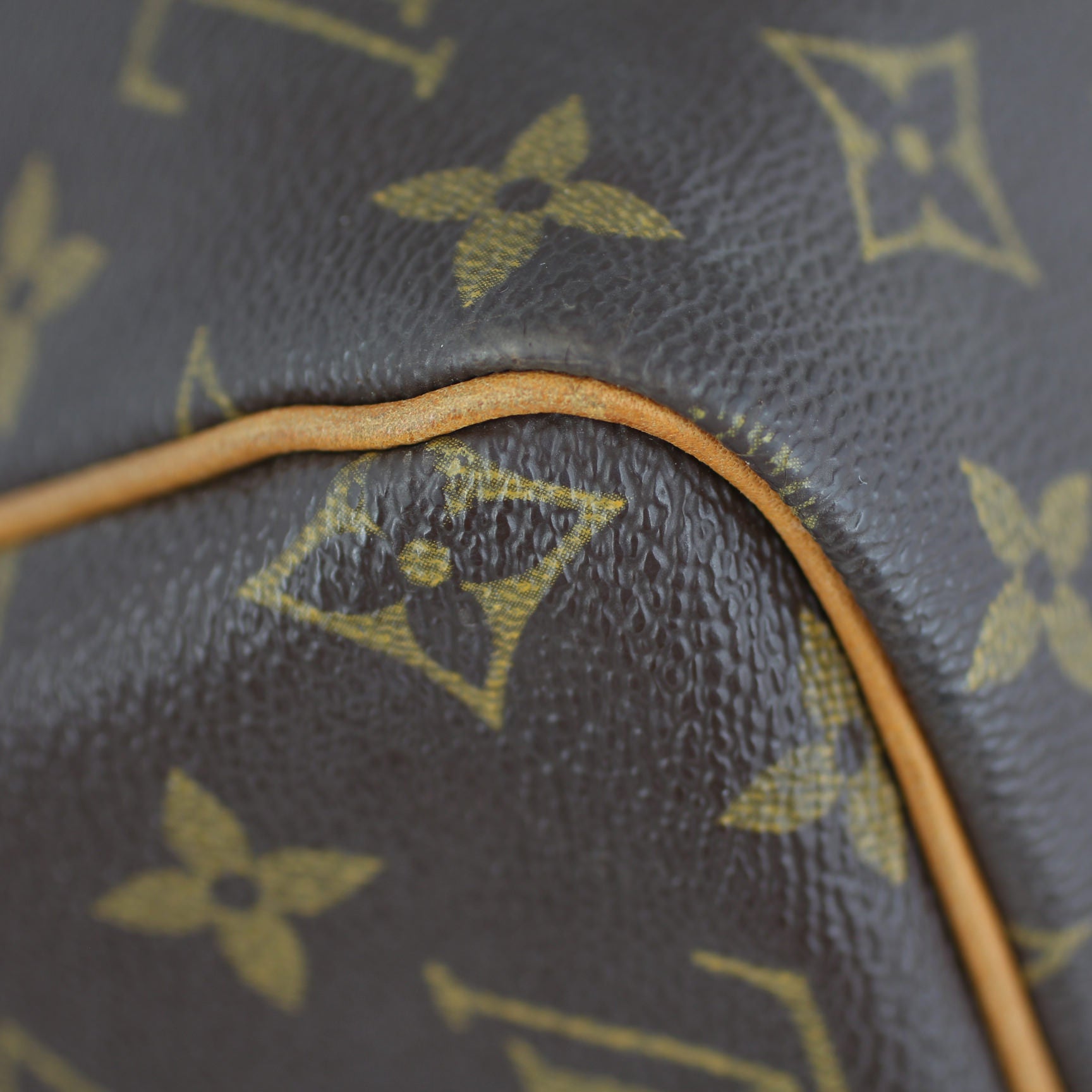 Louis Vuitton Speedy 30 Monogram Lining
