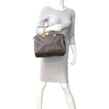 Louis Vuitton Speedy 30 Monogram Mannequin
