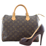 Louis Vuitton Speedy 30 Monogram Scale