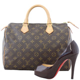 Louis Vuitton Speedy 30 Monogram Shoe