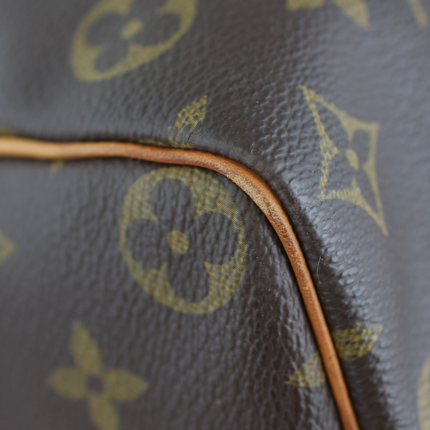 Louis Vuitton Speedy 35 Monogram Lining