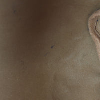 Louis Vuitton Speedy 35 Monogram Stain