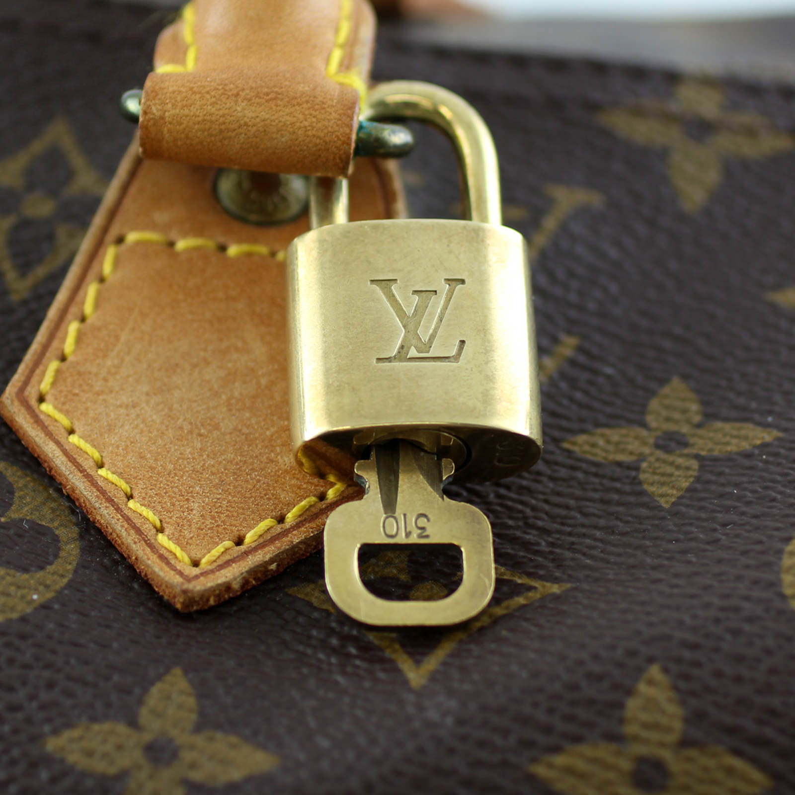 Louis Vuitton Speedy 40 Monogram