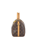 Louis Vuitton Neverfull PM Damier Ebene Left