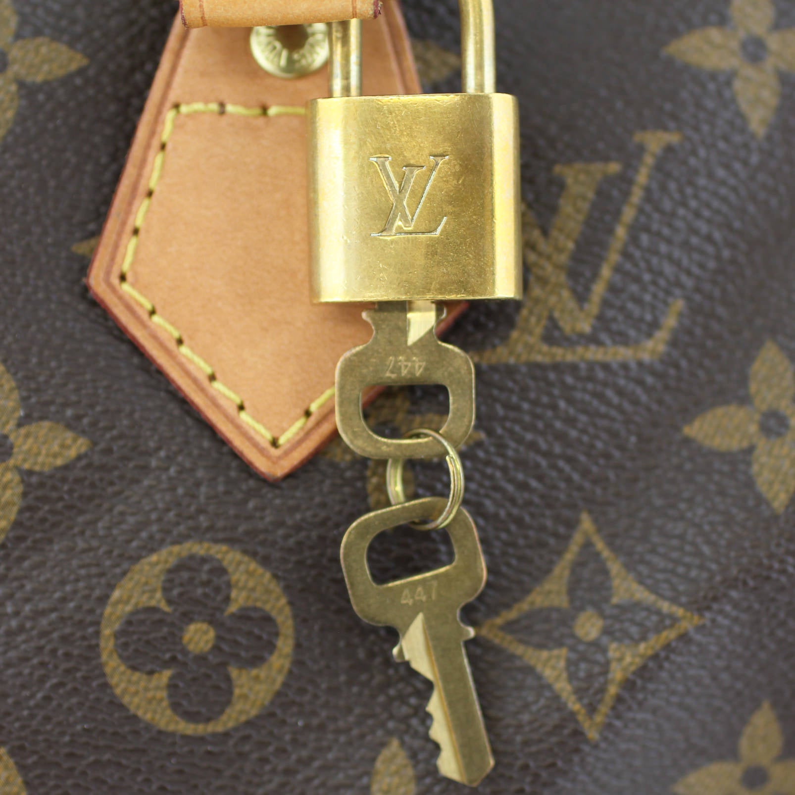Louis Vuitton Neverfull PM Damier Ebene Lock