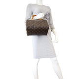 Louis Vuitton Neverfull PM Damier Ebene Mannequin