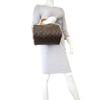 Louis Vuitton Neverfull PM Damier Ebene Mannequin