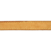 Louis Vuitton Stresa PM Damier Azur Strap