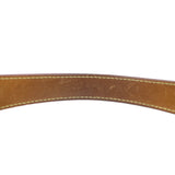 Louis Vuitton Sully MM Monogram Handle