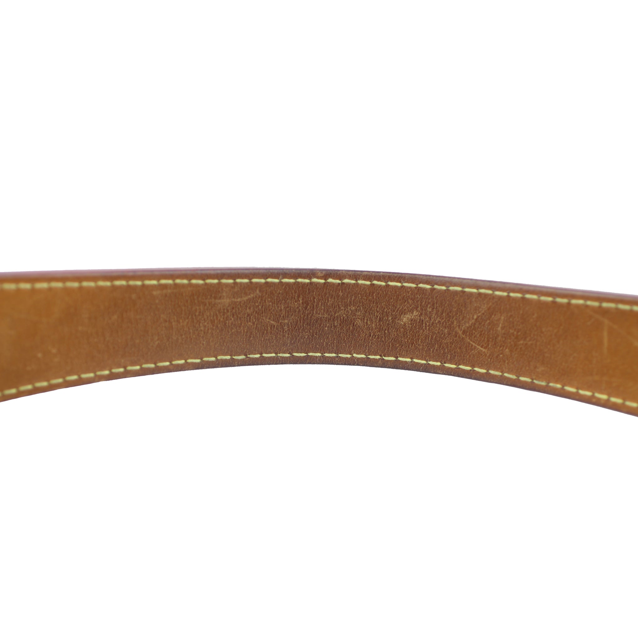 Louis Vuitton Sully MM Monogram Handle
