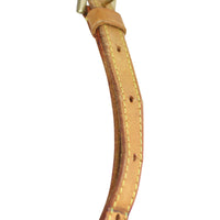 Louis Vuitton Trotteur Monogram strap