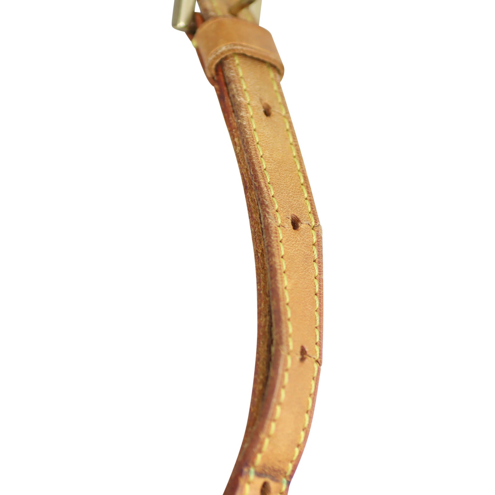 Louis Vuitton Trotteur Monogram strap