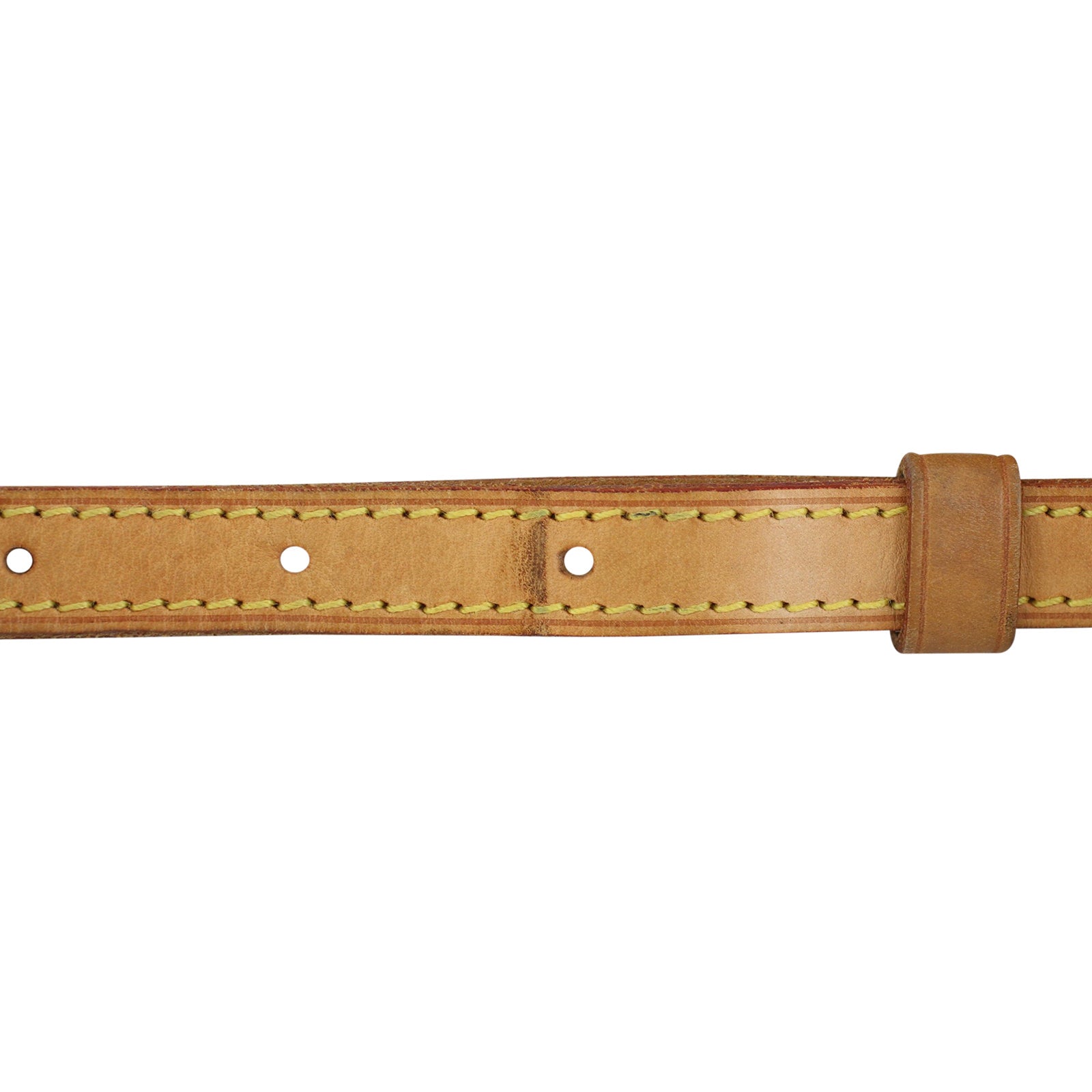 Louis Vuitton Trotteur Monogram Strap