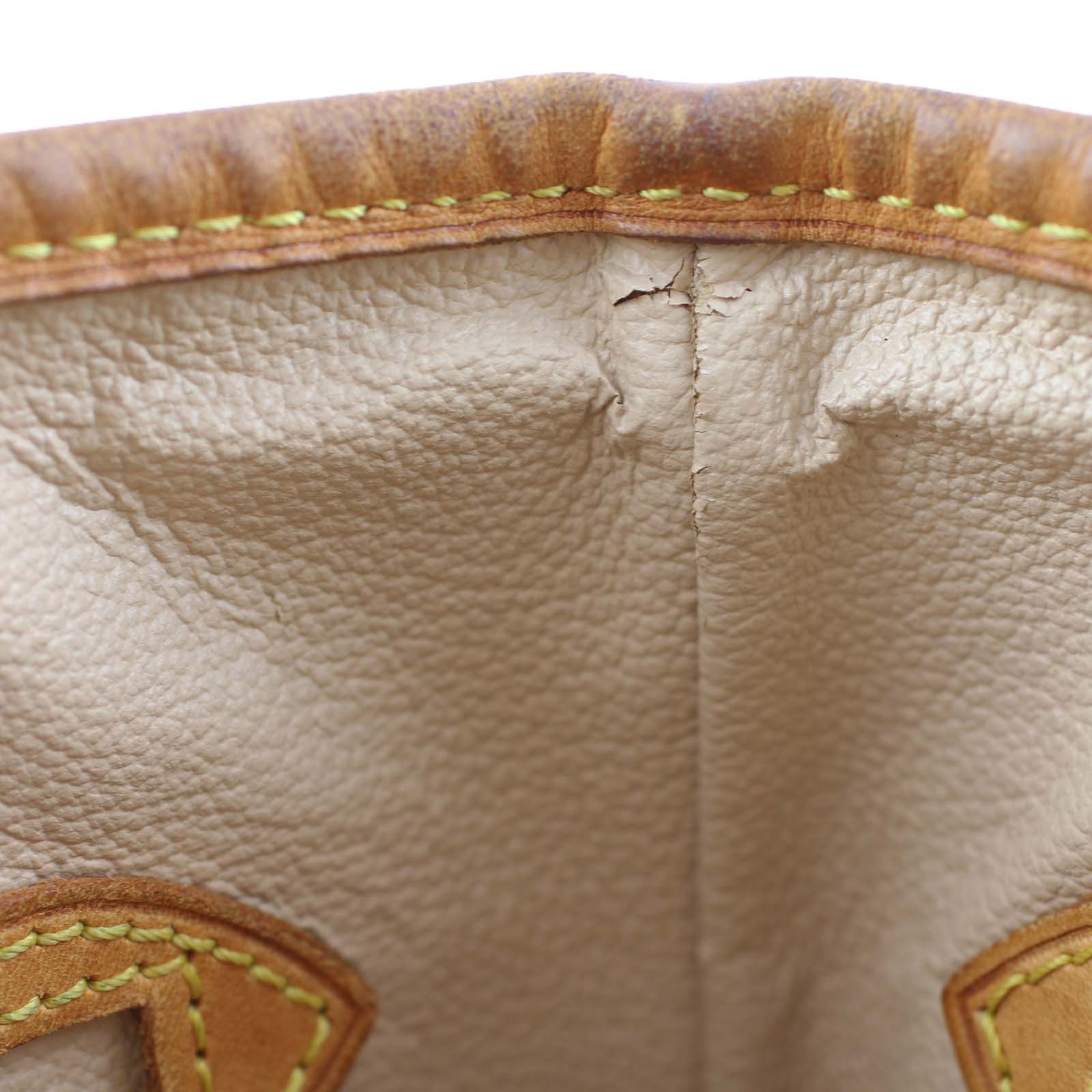 Louis Vuitton Petit Bucket Bag Cracks
