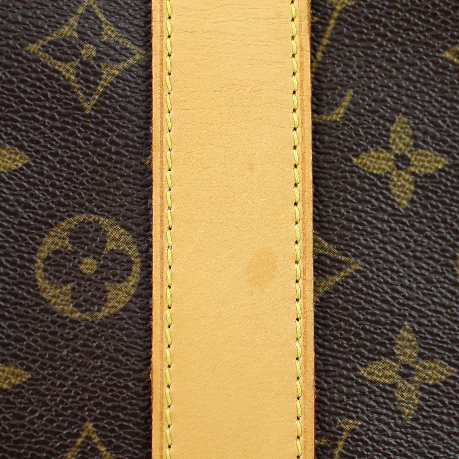 Louis Vuitton Carryall Watermark