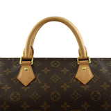 Louis Vuitton Speedy 30 Monogram Handles