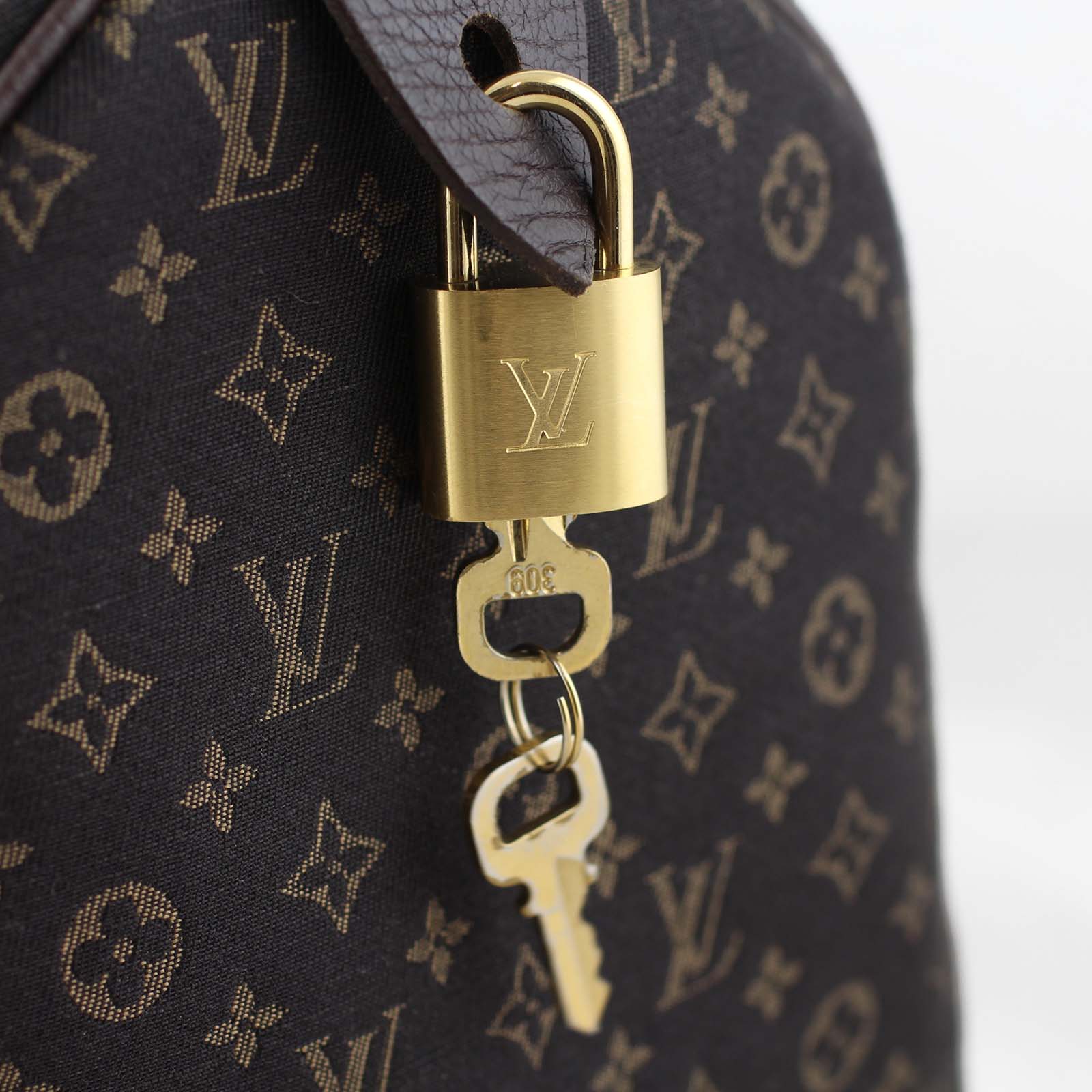 Louis Vuitton Monogram Idylle Speedy 30 hardware