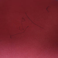 Louis Vuitton Speedy epi 25 Marks